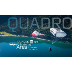 Woody Valley Quadro Light